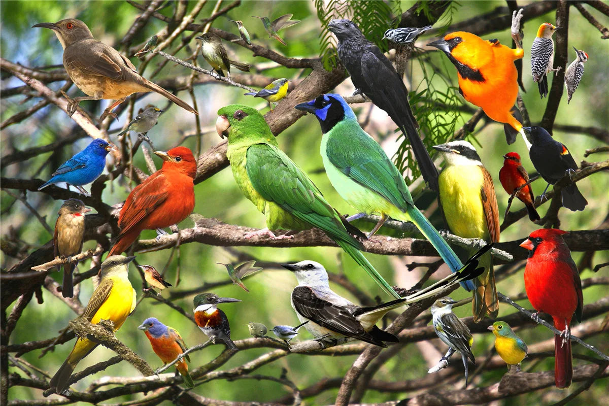 500-Piece Landscape Jigsaw Puzzles